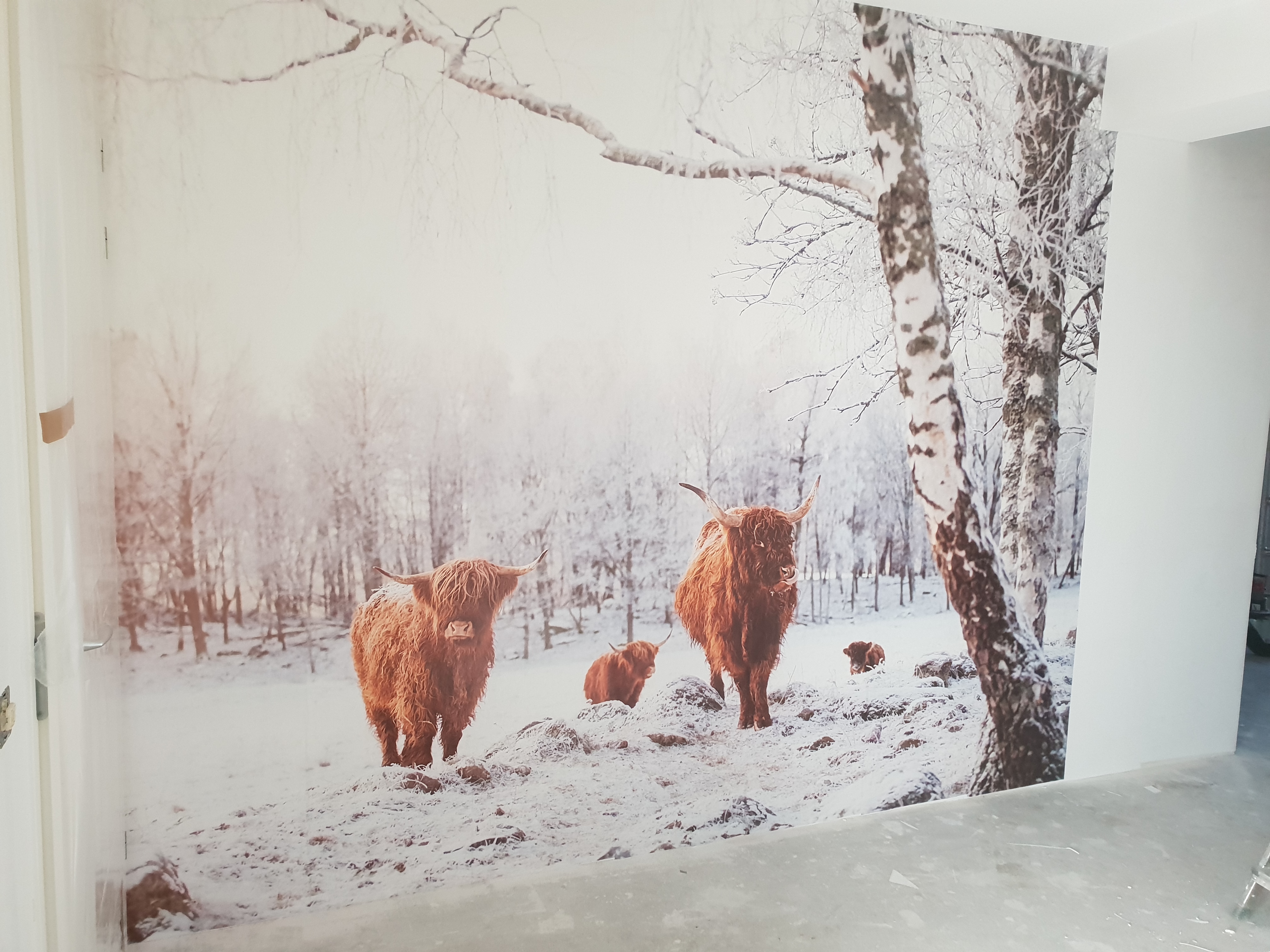 Fotobehang biezon